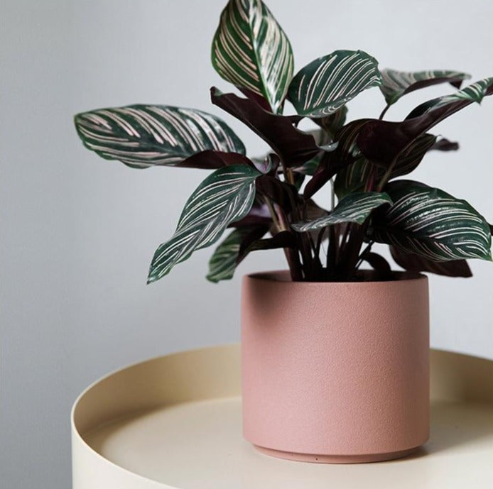 Bright Porcelain Stackable Flowerpot Planters