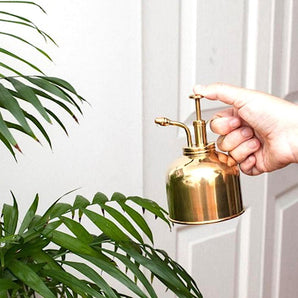 Bronze Plant Mist Sprayer - Vintage Brass Watering Spray Bottle