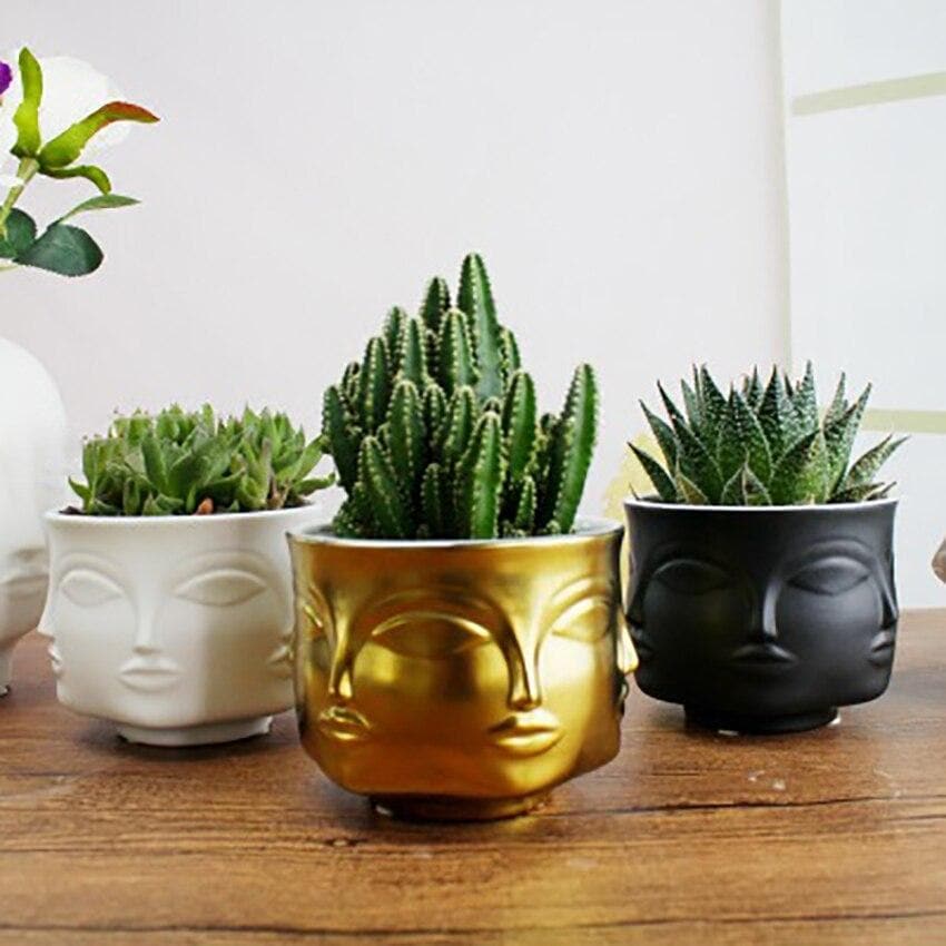 Ceramic Face Design Flowerpot - Modern Succulent Planter