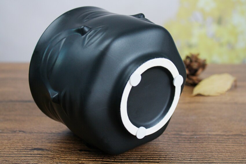 Ceramic Face Design Flowerpot - Modern Succulent Planter