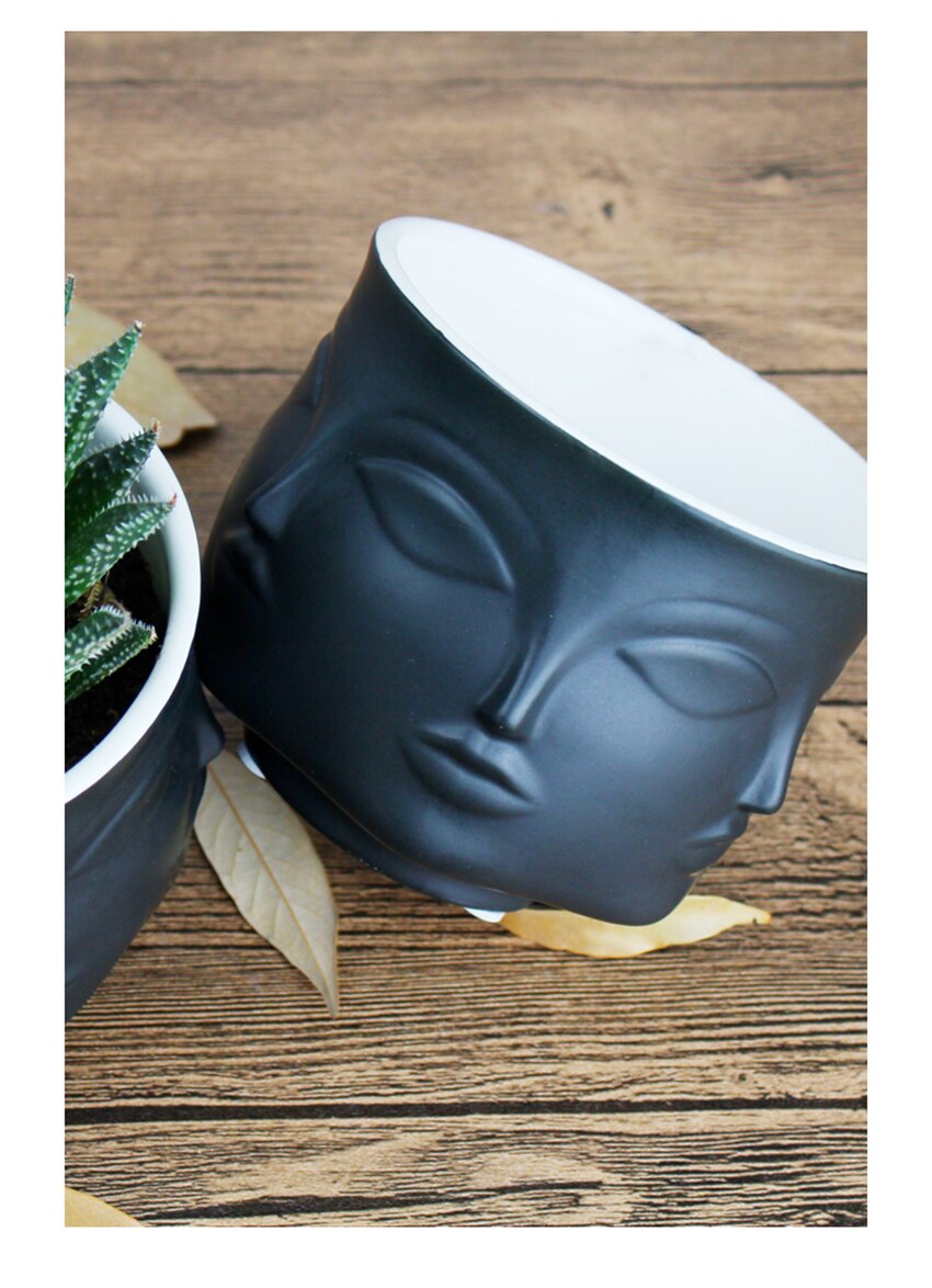 Ceramic Face Design Flowerpot - Modern Succulent Planter