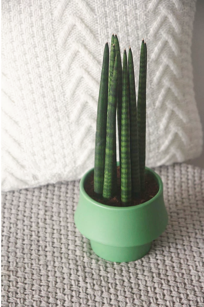 Ceramic Planter in Rosa - Glazed Finish Scandinavian Style Pot