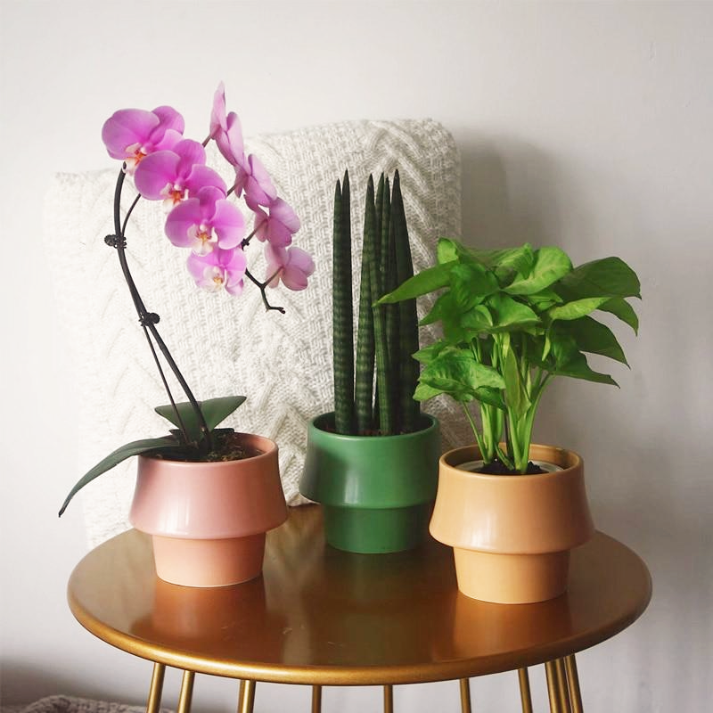 Ceramic Planter in Rosa - Glazed Finish Scandinavian Style Pot