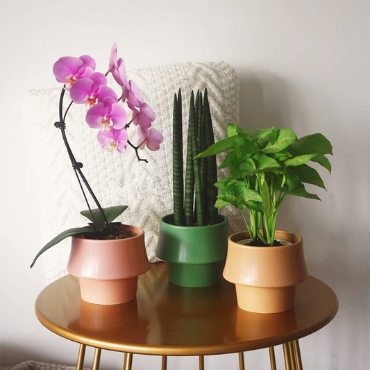 Ceramic Planter in Rosa - Glazed Finish Scandinavian Style Pot