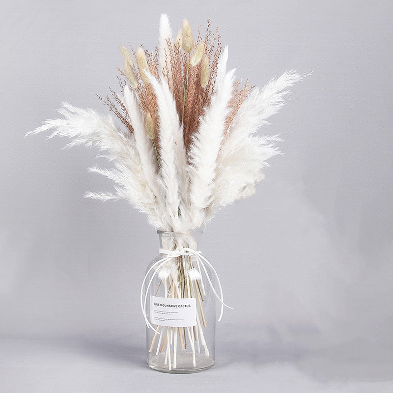 Dried Pampas Grass Flowers Set - 30-Piece Interior Decoration Kit