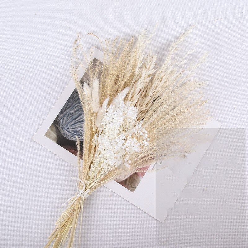 Dried Pampas Grass Flowers Set - 30-Piece Interior Decoration Kit