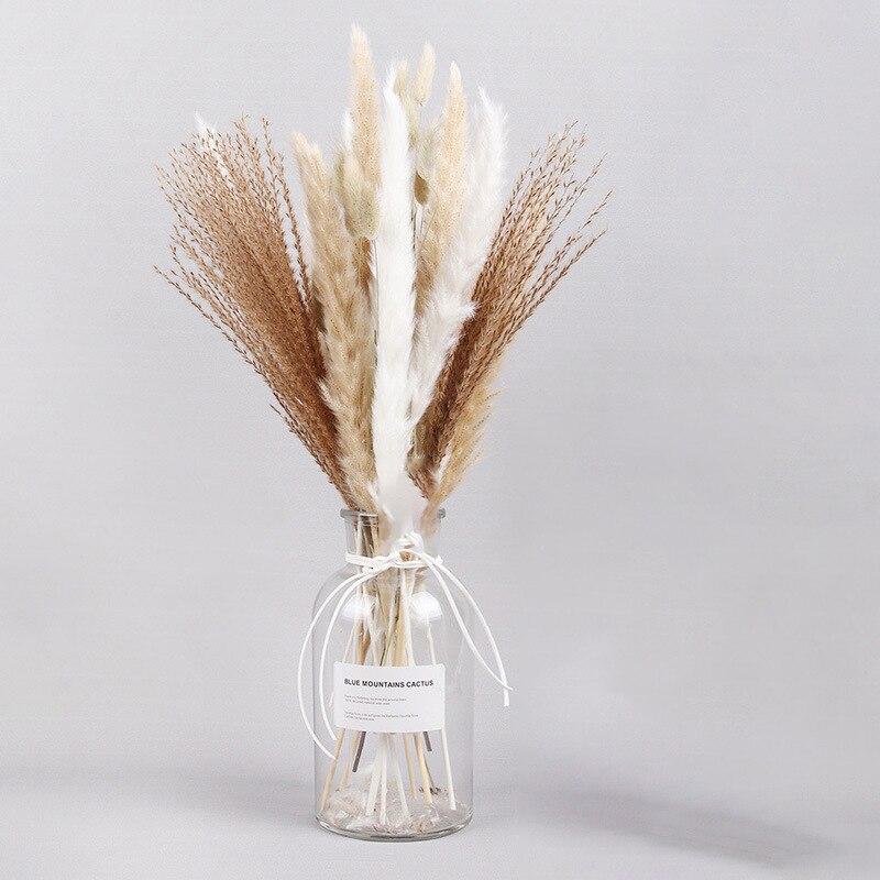 Dried Pampas Grass Flowers Set - 30-Piece Interior Decoration Kit