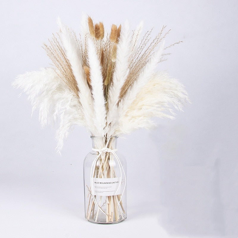 Dried Pampas Grass Flowers Set - 30-Piece Interior Decoration Kit