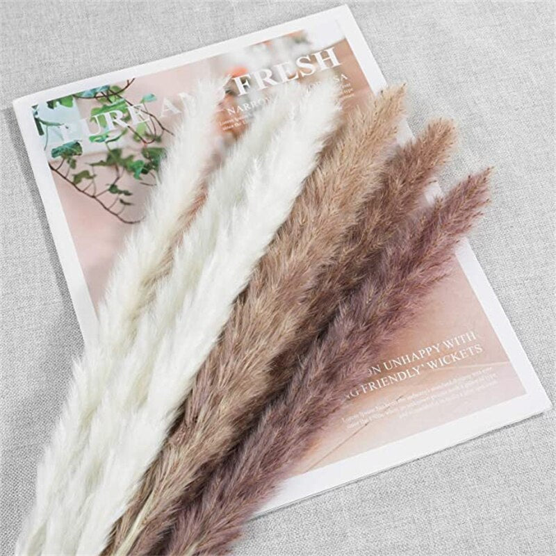 Dried Pampas Grass Flowers Set - 30-Piece Interior Decoration Kit