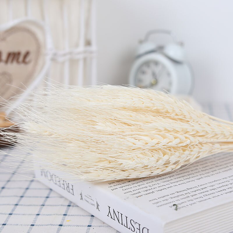 Dried Pampas Grass Flowers Set - 30-Piece Interior Decoration Kit