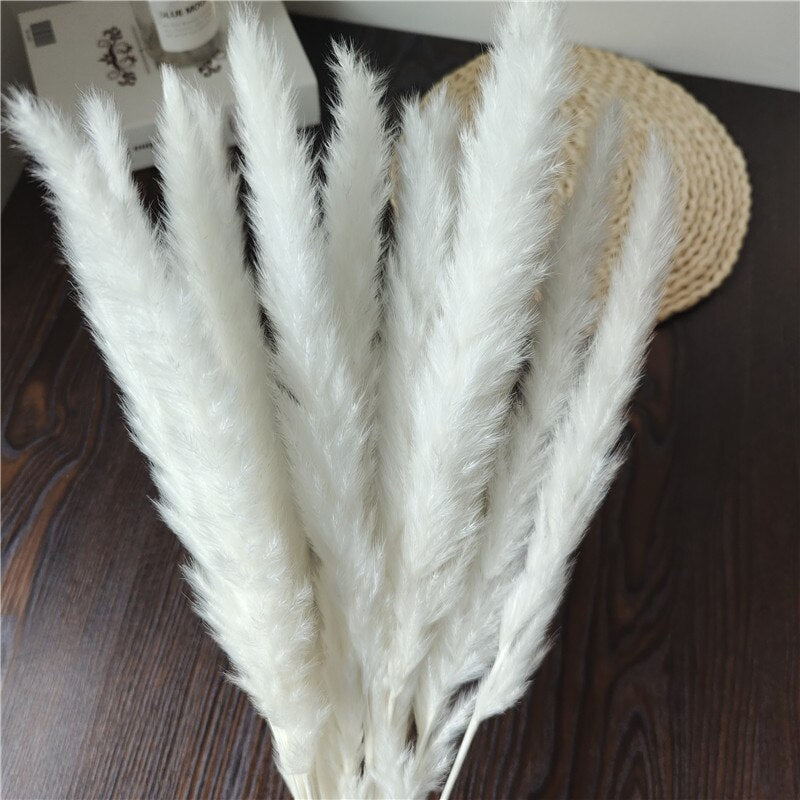 Dried Pampas Grass Flowers Set - 30-Piece Interior Decoration Kit