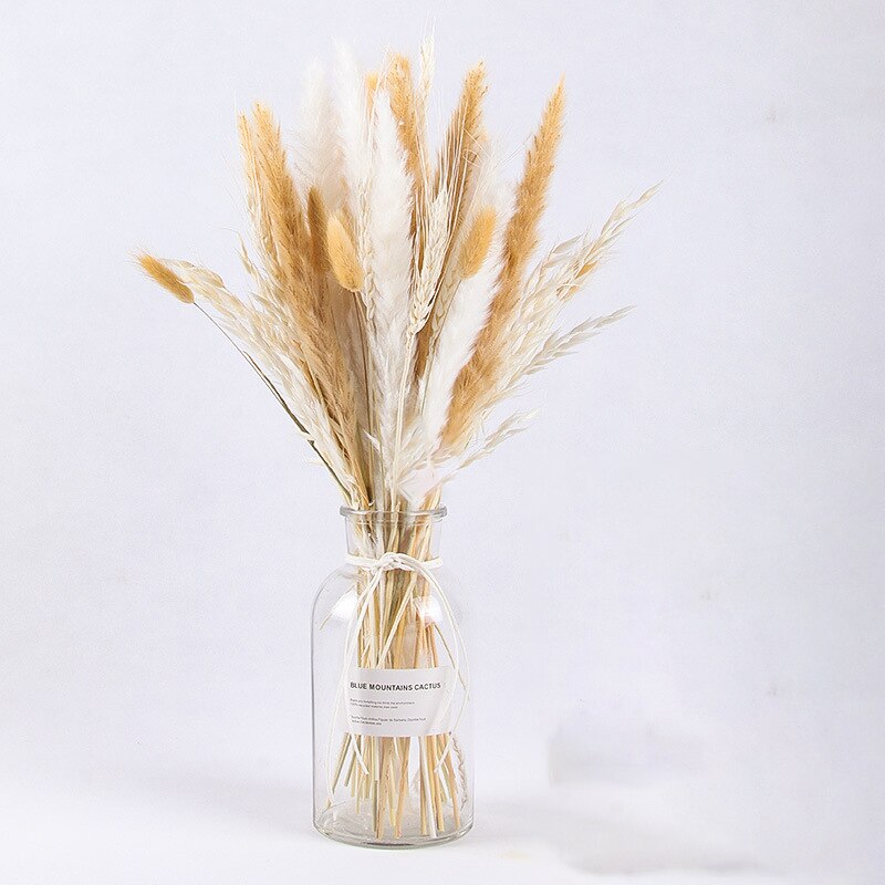 Dried Pampas Grass Flowers Set - 30-Piece Interior Decoration Kit