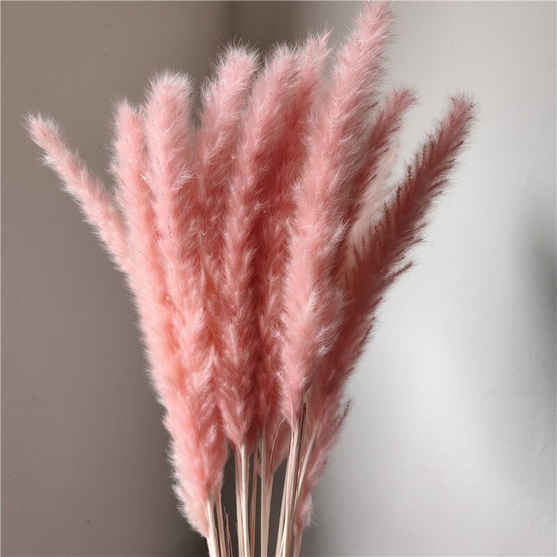 Dried Pampas Grass Flowers Set - 30-Piece Interior Decoration Kit