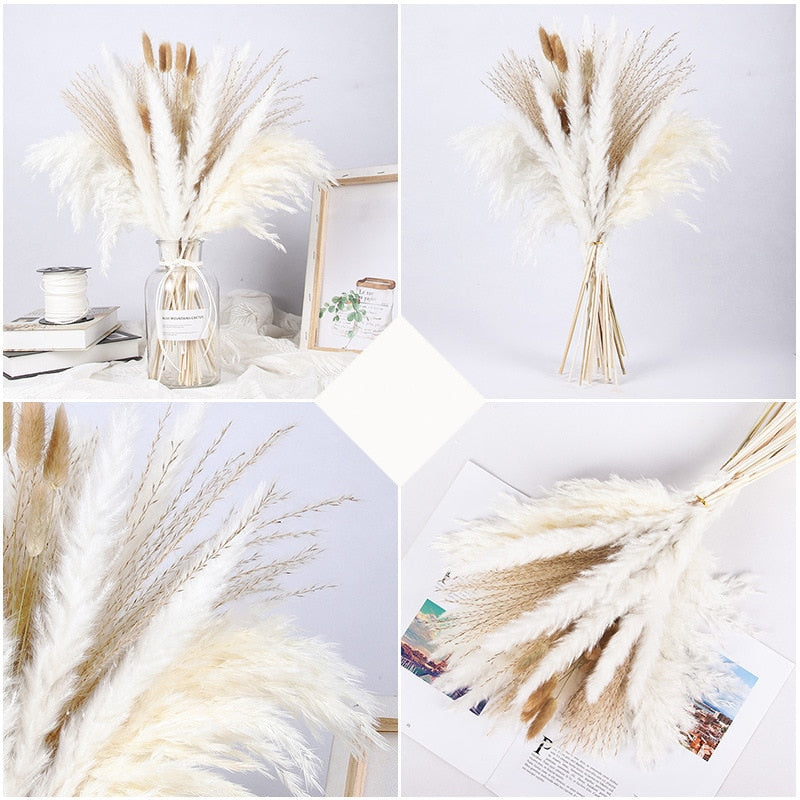 Dried Pampas Grass Flowers Set - 30-Piece Interior Decoration Kit