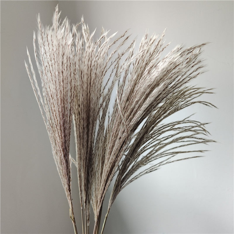 Dried Pampas Grass Flowers Set - 30-Piece Interior Decoration Kit