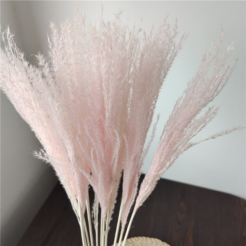 Dried Pampas Grass Flowers Set - 30-Piece Interior Decoration Kit