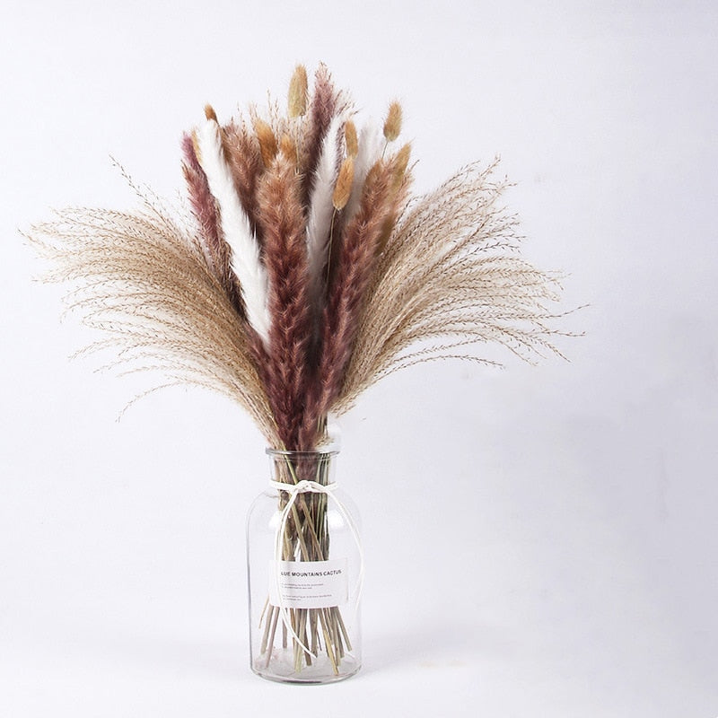 Dried Pampas Grass Flowers Set - 30-Piece Interior Decoration Kit