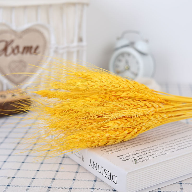 Dried Pampas Grass Flowers Set - 30-Piece Interior Decoration Kit
