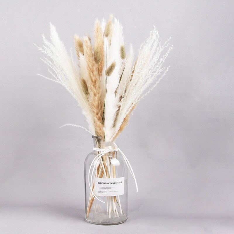 Dried Pampas Grass Flowers Set - 30-Piece Interior Decoration Kit