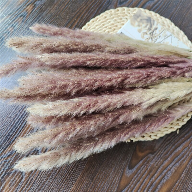 Dried Pampas Grass Flowers Set - 30-Piece Interior Decoration Kit