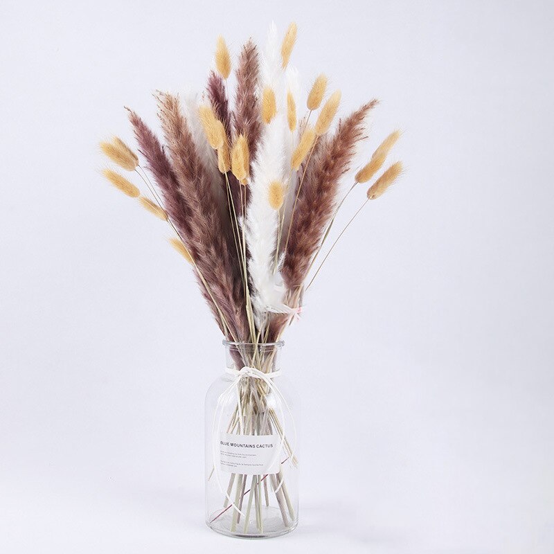 Dried Pampas Grass Flowers Set - 30-Piece Interior Decoration Kit