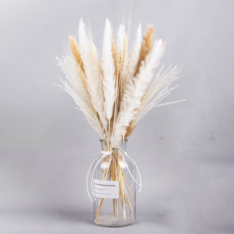 Dried Pampas Grass Flowers Set - 30-Piece Interior Decoration Kit