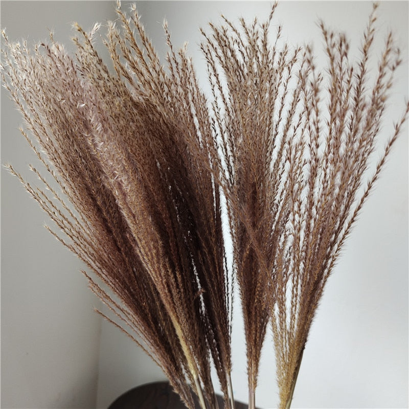 Dried Pampas Grass Flowers Set - 30-Piece Interior Decoration Kit