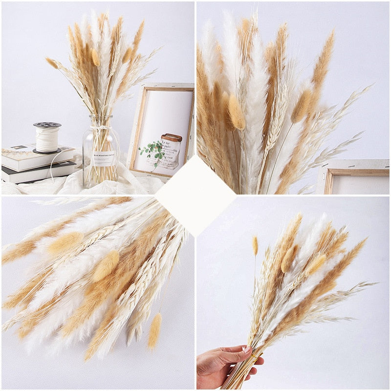 Dried Pampas Grass Flowers Set - 30-Piece Interior Decoration Kit