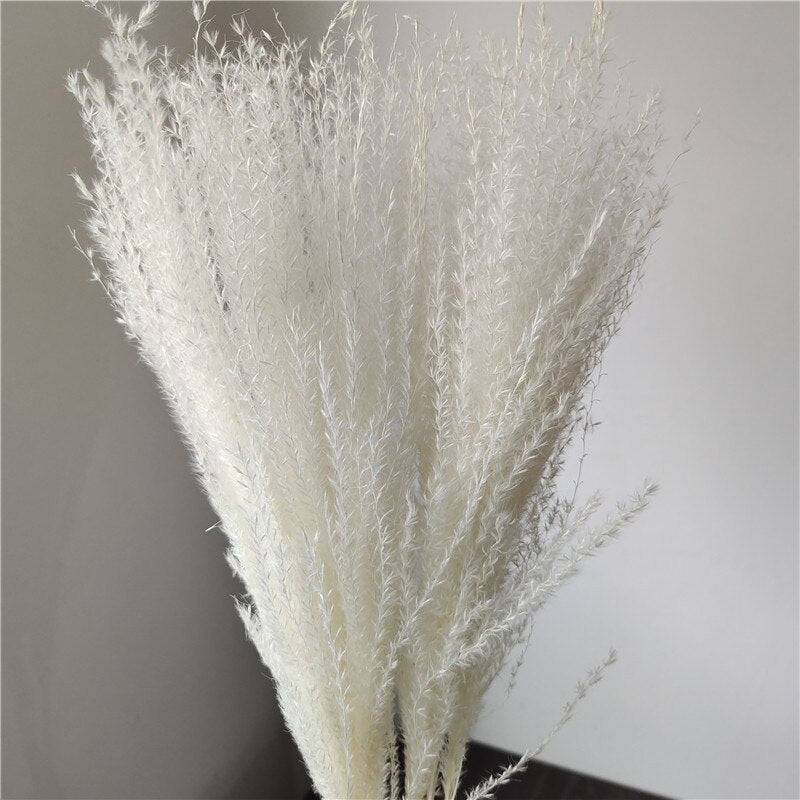 Dried Pampas Grass Flowers Set - 30-Piece Interior Decoration Kit