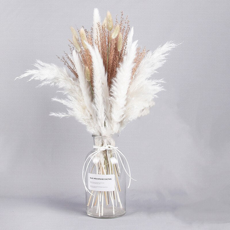 Dried Pampas Grass Flowers Set - 30-Piece Interior Decoration Kit