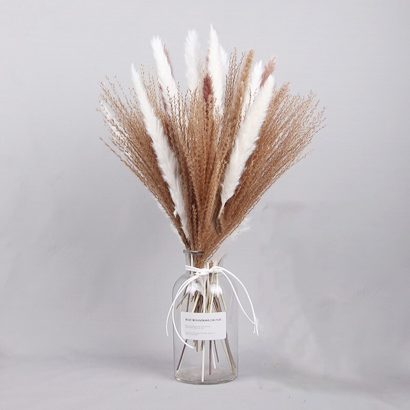 Dried Pampas Grass Flowers Set - 30-Piece Interior Decoration Kit