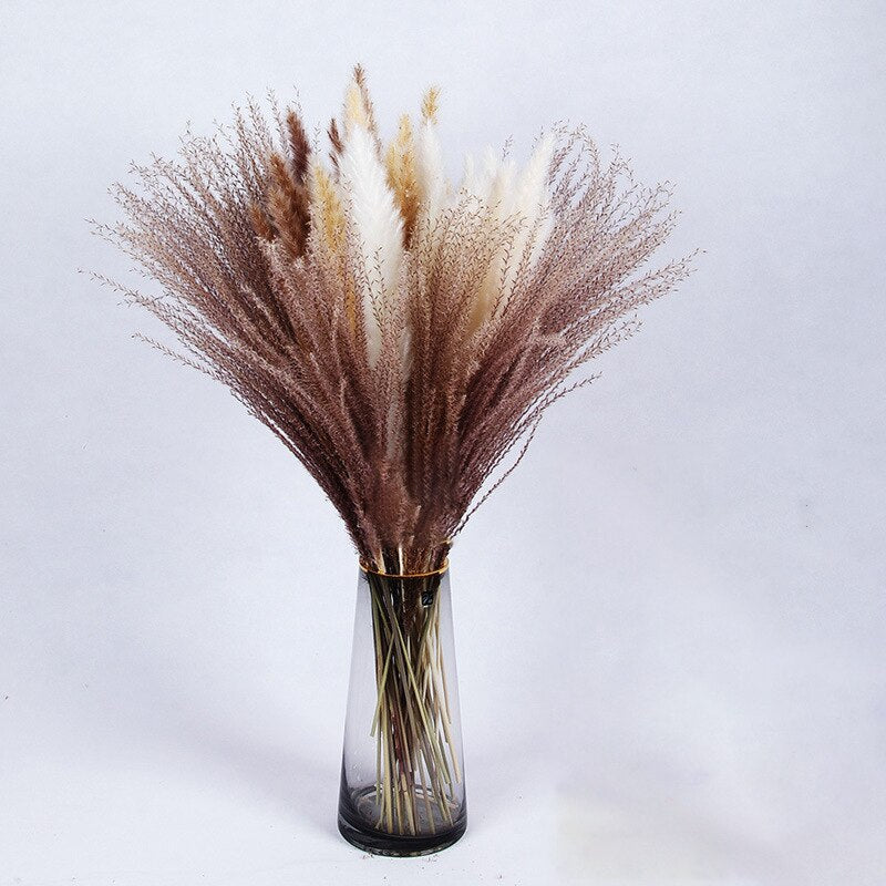 Dried Pampas Grass Flowers Set - 30-Piece Interior Decoration Kit