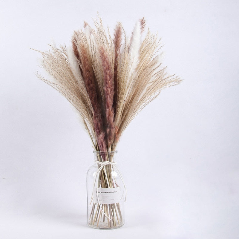 Dried Pampas Grass Flowers Set - 30-Piece Interior Decoration Kit