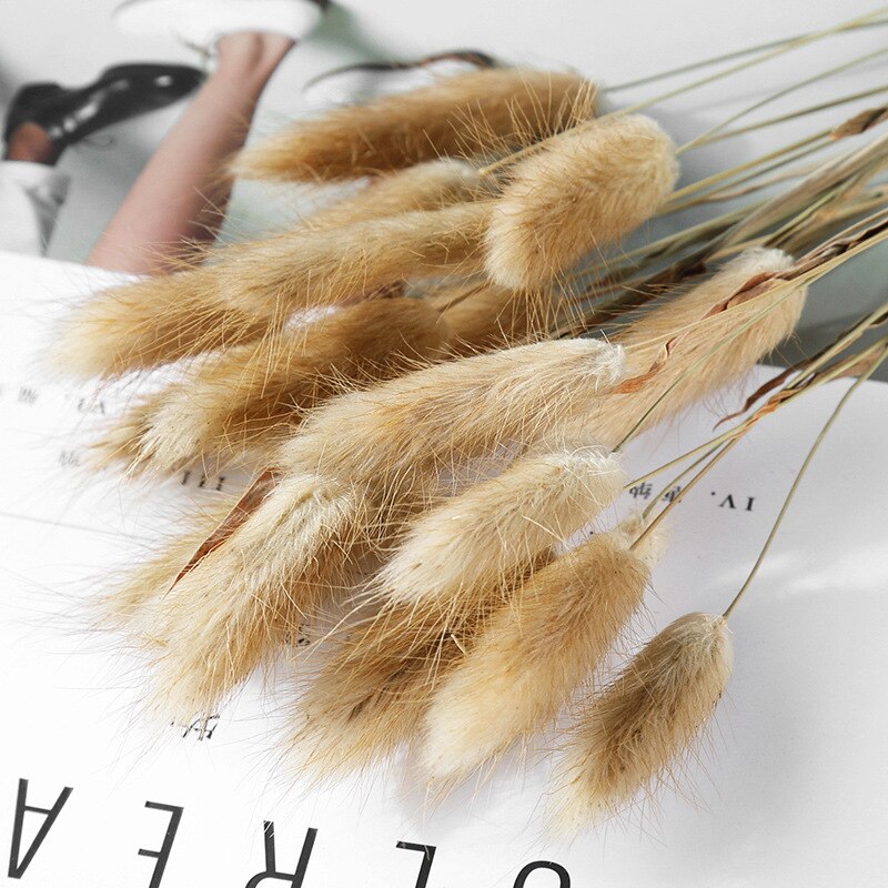 Dried Pampas Grass Flowers Set - 30-Piece Interior Decoration Kit