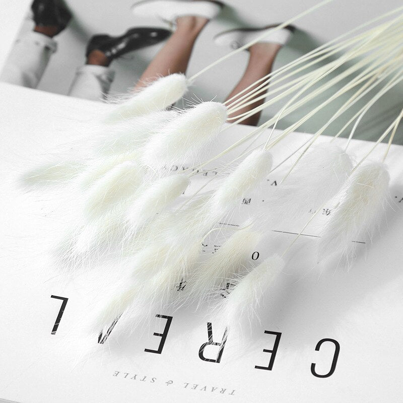 Dried Pampas Grass Flowers Set - 30-Piece Interior Decoration Kit
