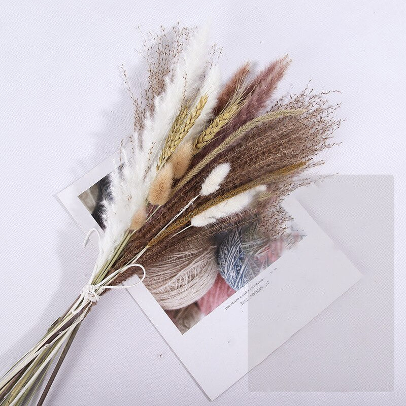 Dried Pampas Grass Flowers Set - 30-Piece Interior Decoration Kit