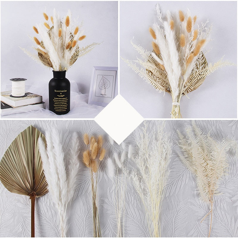 Dried Pampas Grass Flowers Set - 30-Piece Interior Decoration Kit