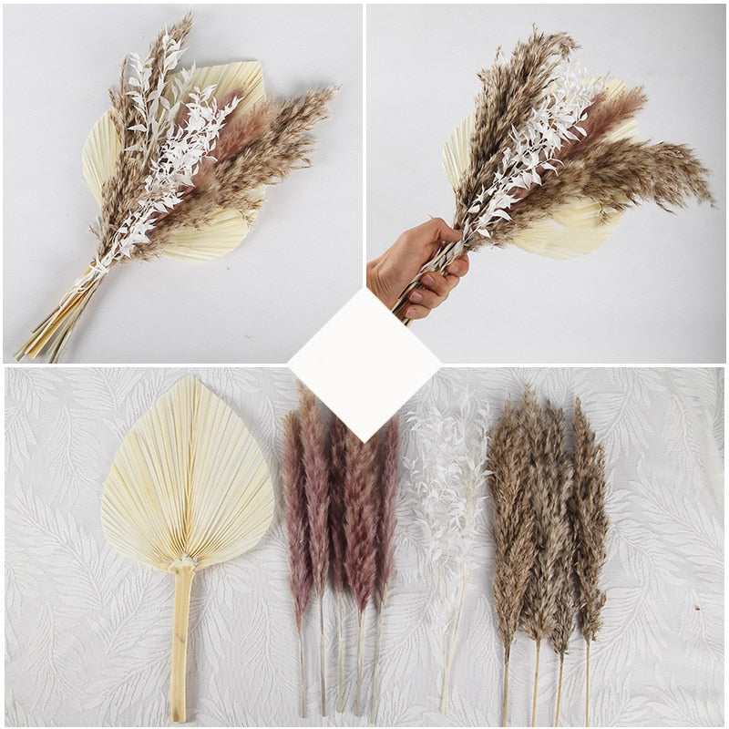 Dried Pampas Grass Flowers Set - 30-Piece Interior Decoration Kit