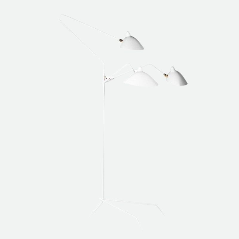 Floor Lamp with Tripod Base and Directional Light