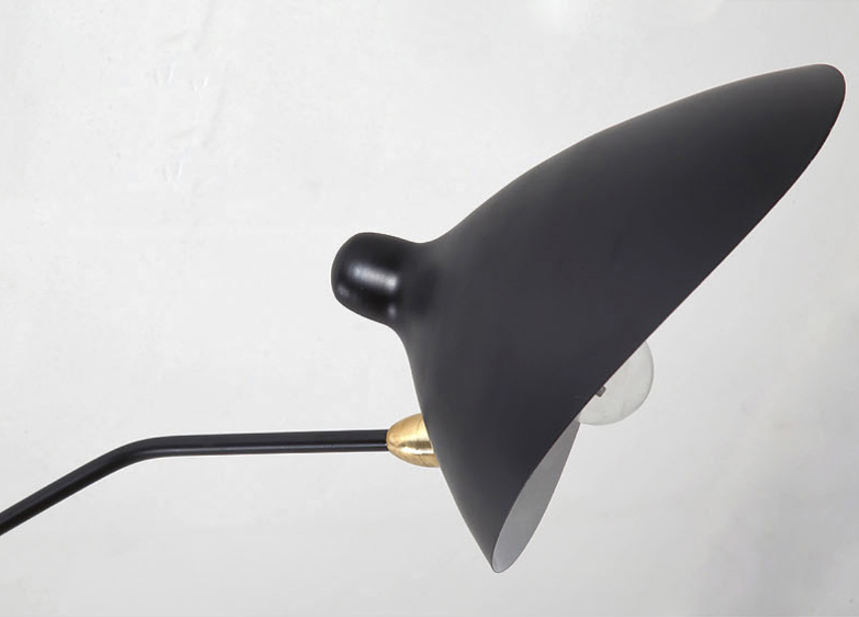 Floor Lamp with Tripod Base and Directional Light