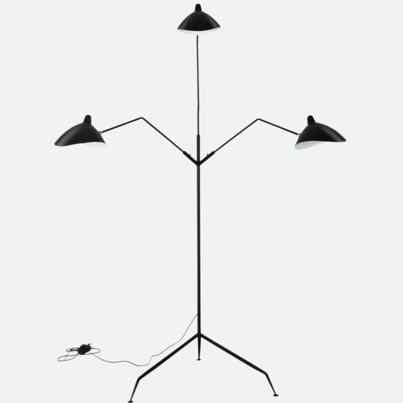 Floor Lamp with Tripod Base and Directional Light
