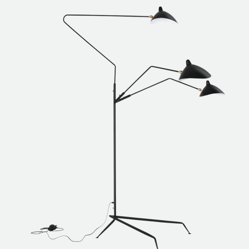 Floor Lamp with Tripod Base and Directional Light