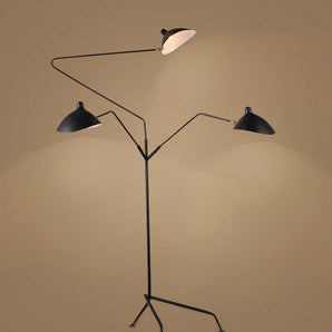 Floor Lamp with Tripod Base and Directional Light