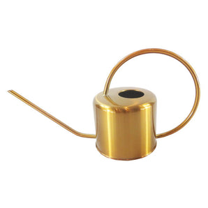 Gold Stainless Steel Watering Can for Plant Care