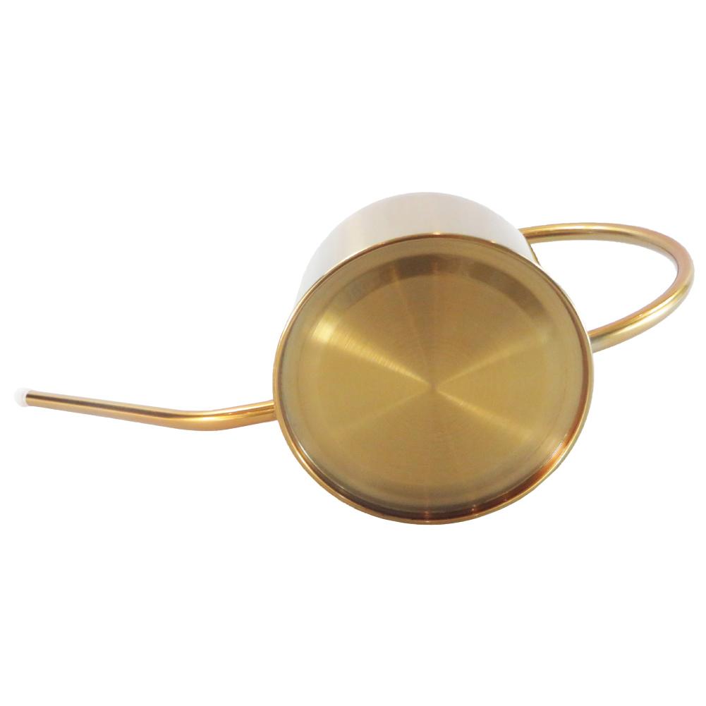Gold Stainless Steel Watering Can for Plant Care