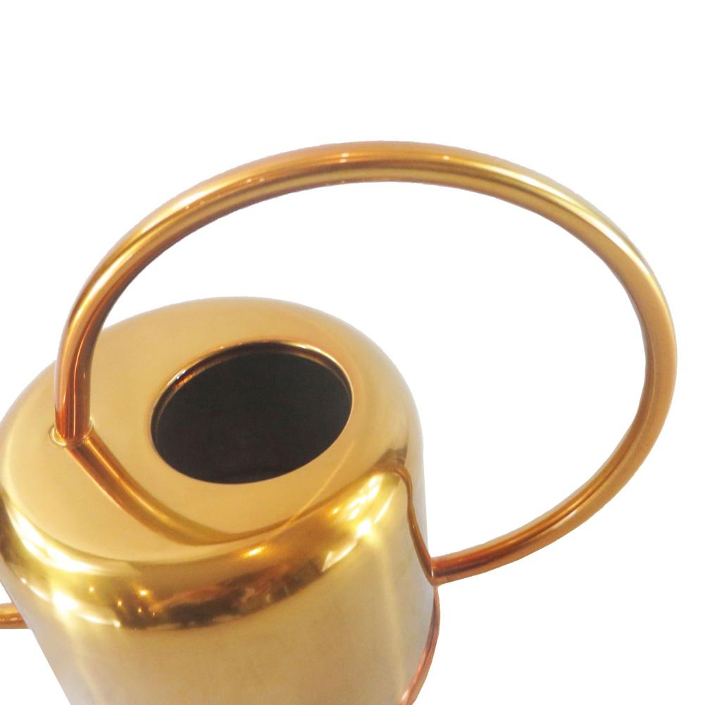 Gold Stainless Steel Watering Can for Plant Care
