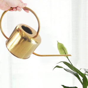 Gold Stainless Steel Watering Can for Plant Care