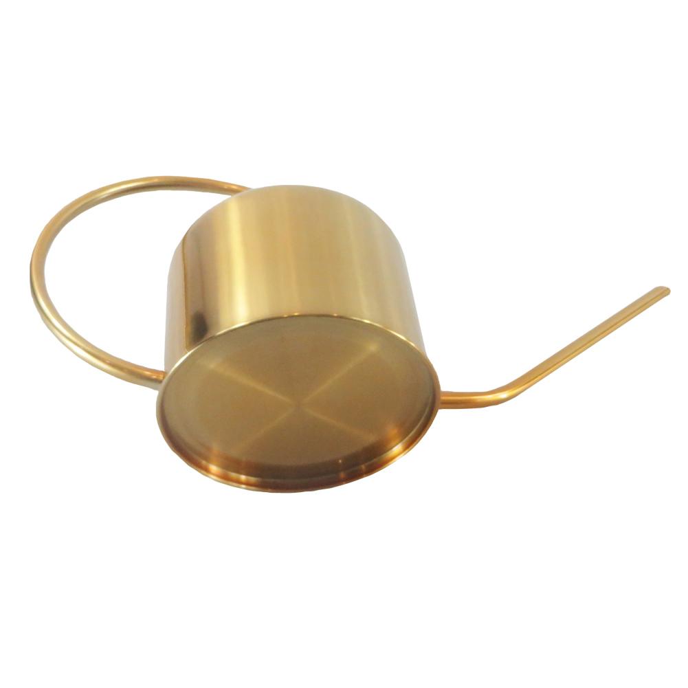 Gold Stainless Steel Watering Can for Plant Care