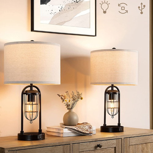 LED Desk Lamp with Dual Bulb Modeling and USB Ports