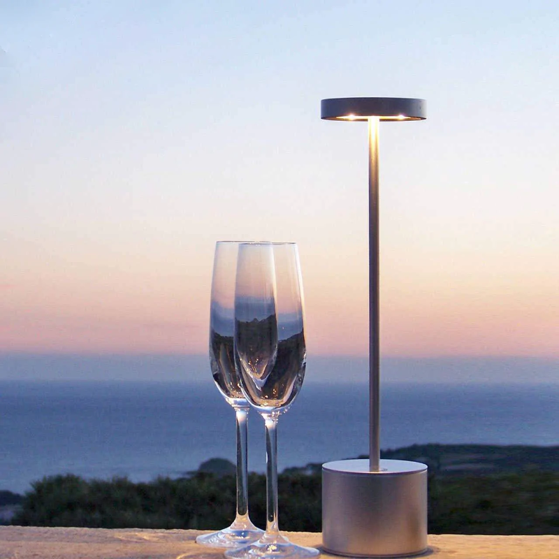 LED Portable Table Lamp with Resilient Design